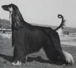 Thumbnail of Kabik's The Challenger