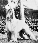 Thumbnail of Coastwind The Hermit