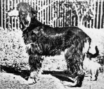 Thumbnail of Tullah Of Pushtikuh (Late Kandahar Tullah)