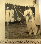 Thumbnail of Garrymhor Souriya