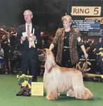 Thumbnail of Pahlavi Puttin' On The Ritz