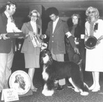 Thumbnail of Bakali Cymbeline Of Zuvenda